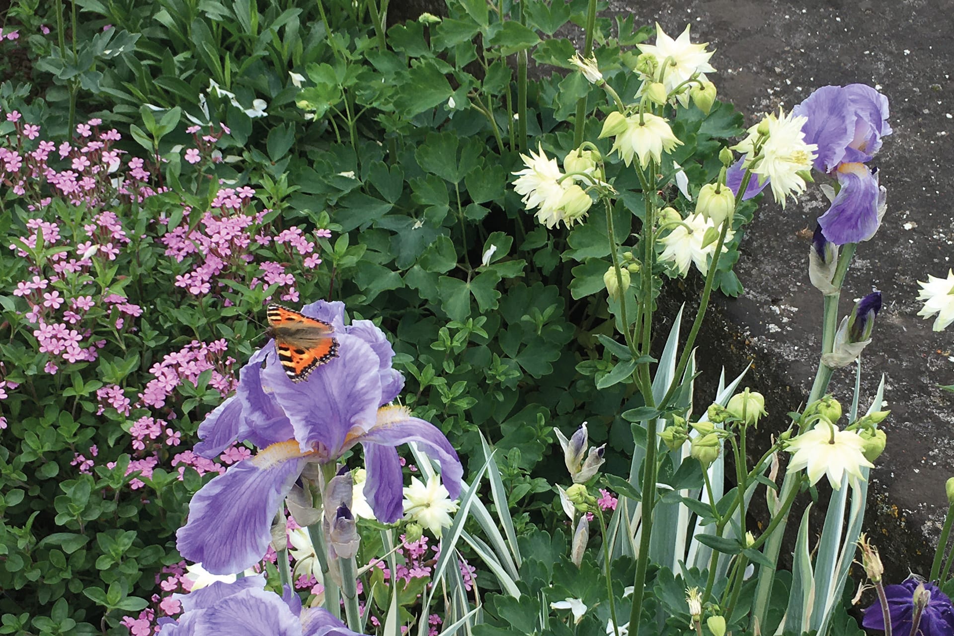 Stadtgärten Bad Homburg Gartenhof