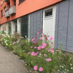 Stadtgärten Bad Homburg Quartiersplatz
