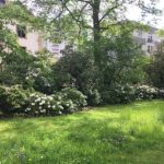 Stadtgärten Bad Homburg Waldpark