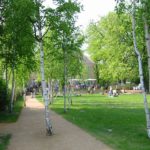 Stadtgärten Bad Homburg Waldpark