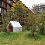 Stadtgärten Bad Homburg Wiesenpark
